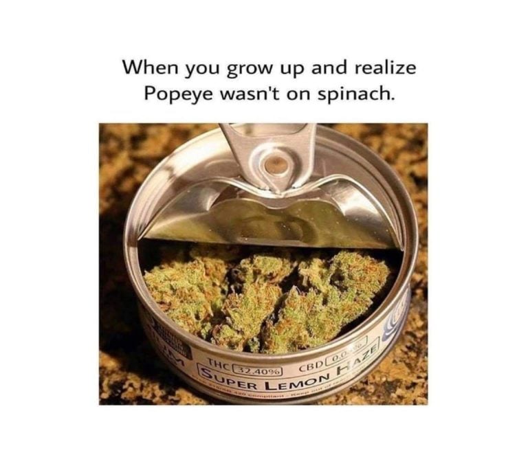 31 Funny Weed Memes And High Quotes For 420 7376