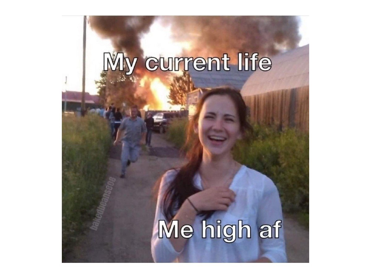 31+ Funny Weed Memes and High Quotes for 4:20