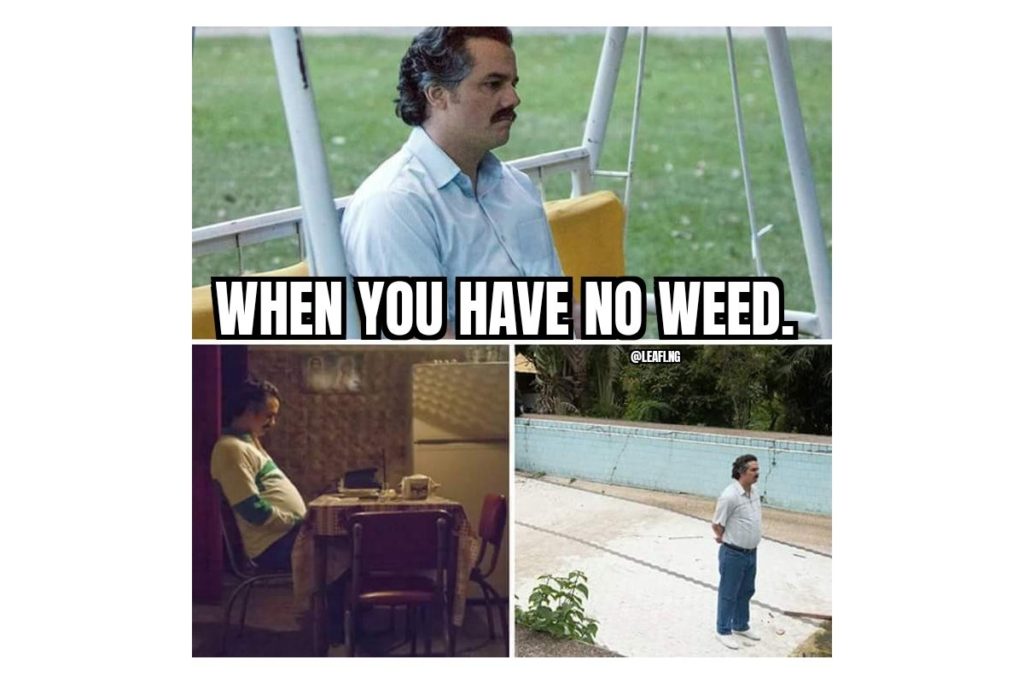 pablo weed meme