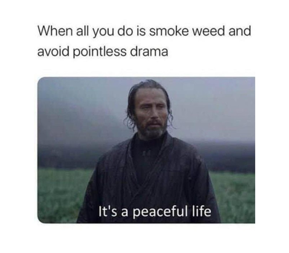 peaceful life weed meme