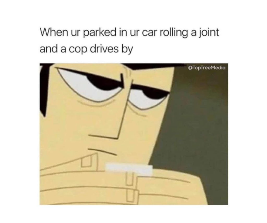 police weed meme