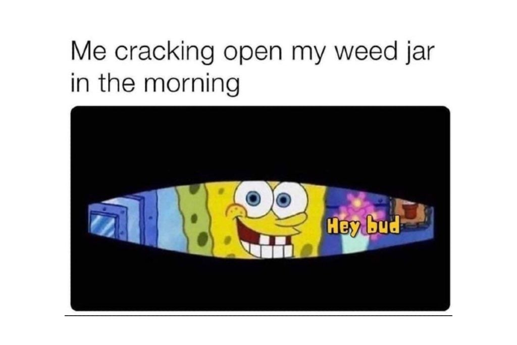 Weed Meme Spongebob