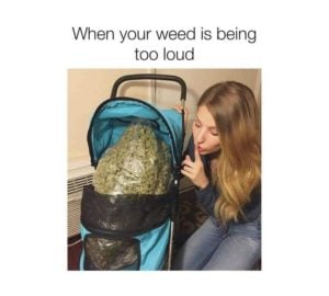 31+ Funny Weed Memes and High Quotes for 4:20